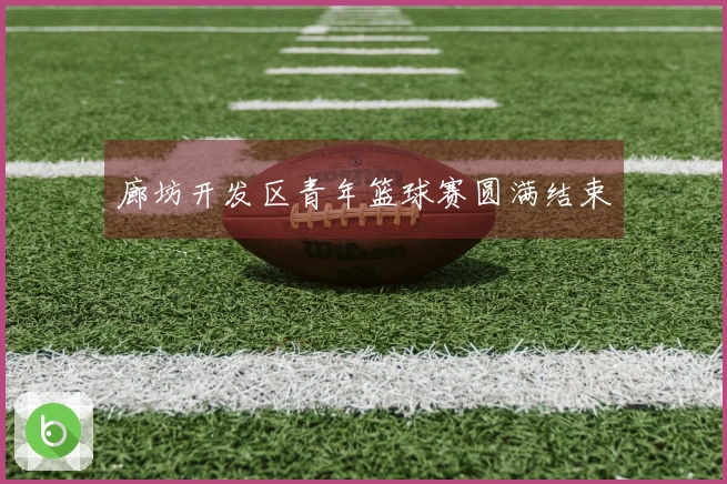 廊坊开发区青年篮球赛圆满结束